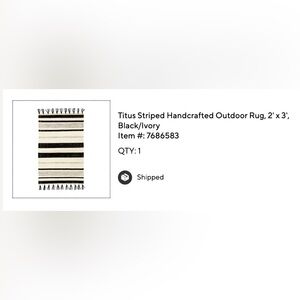 Pottery Barn Titus Outdoor rug 2x3’